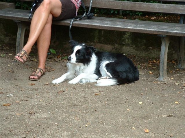 DSCF0027 (Medium)